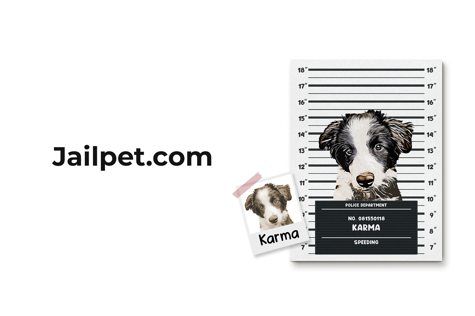 JailPet — image 3