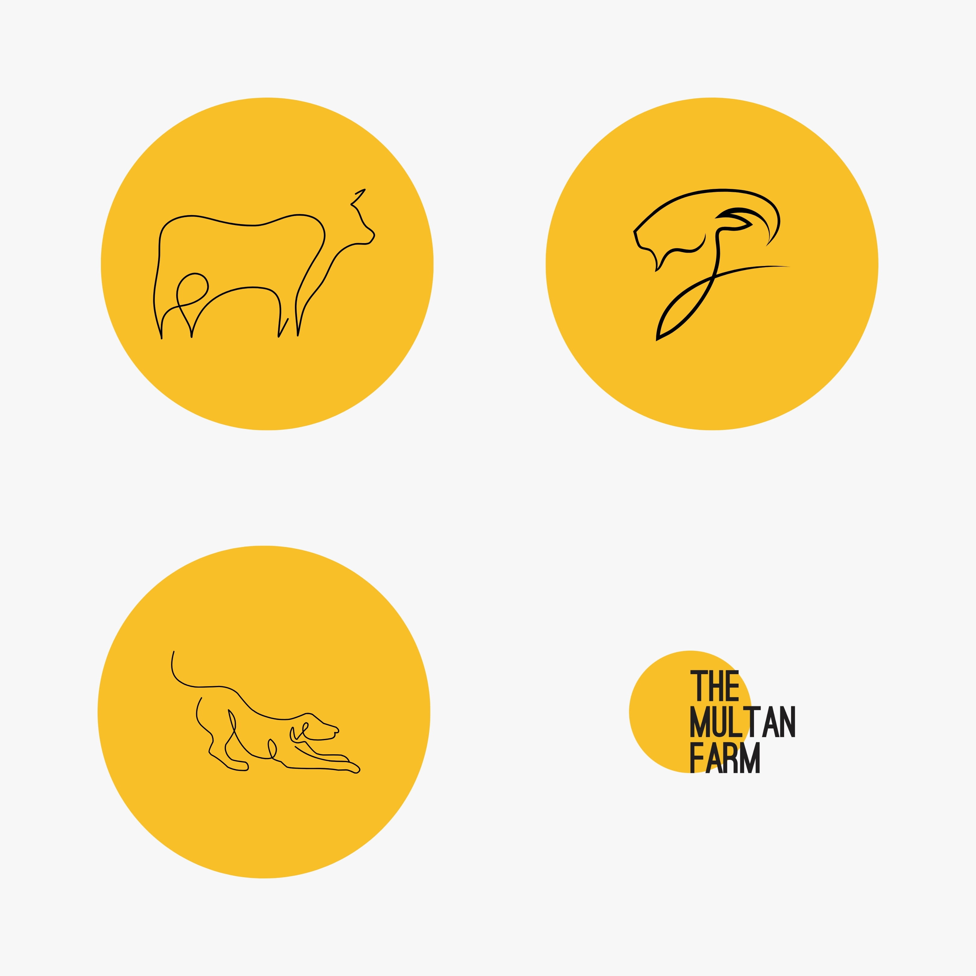 creative agency, agricultural branding, logo design, visual identity, modern branding, brand storytelling, farm brand identity, creative branding agency.
