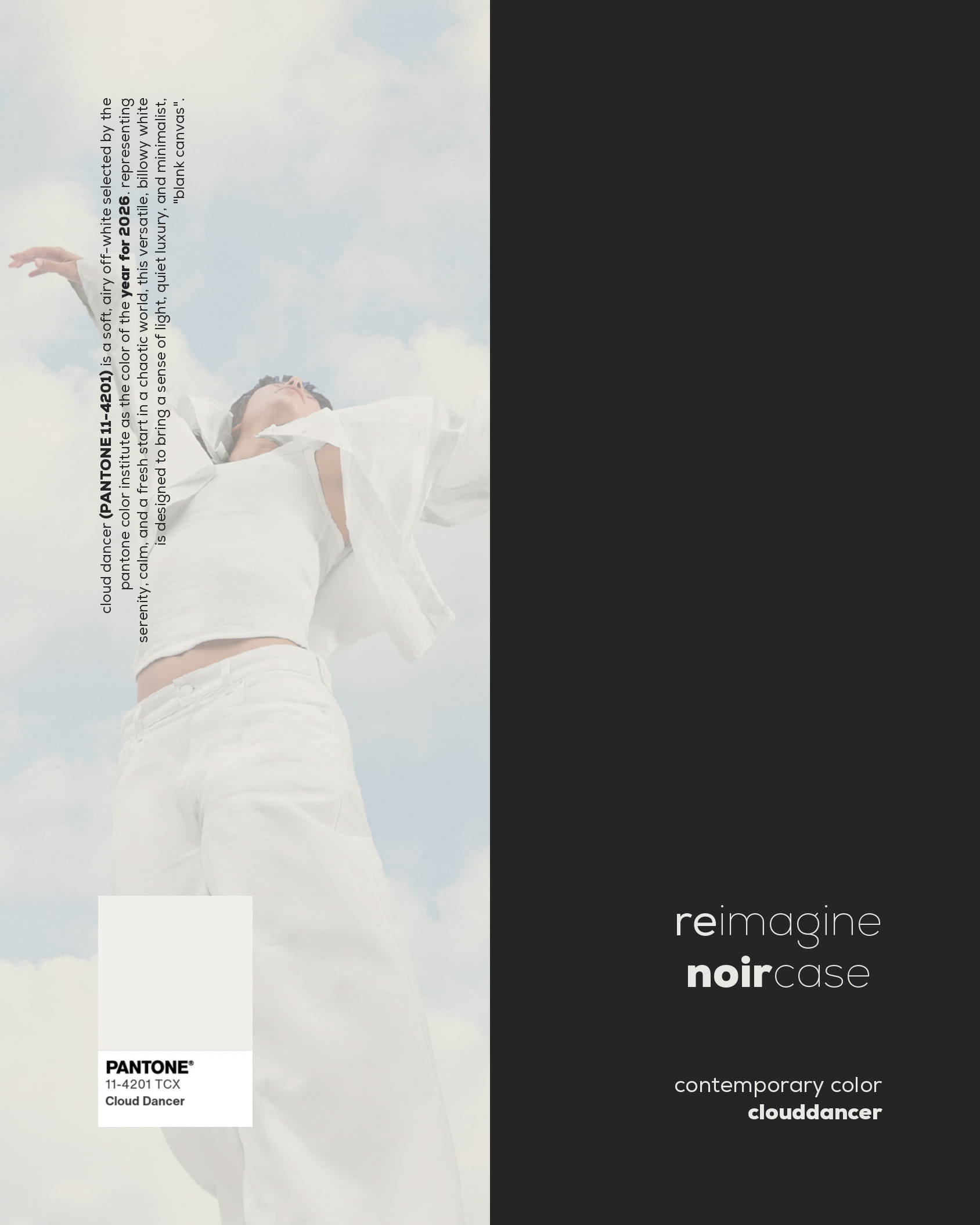 Noircase Reimagine — image 1