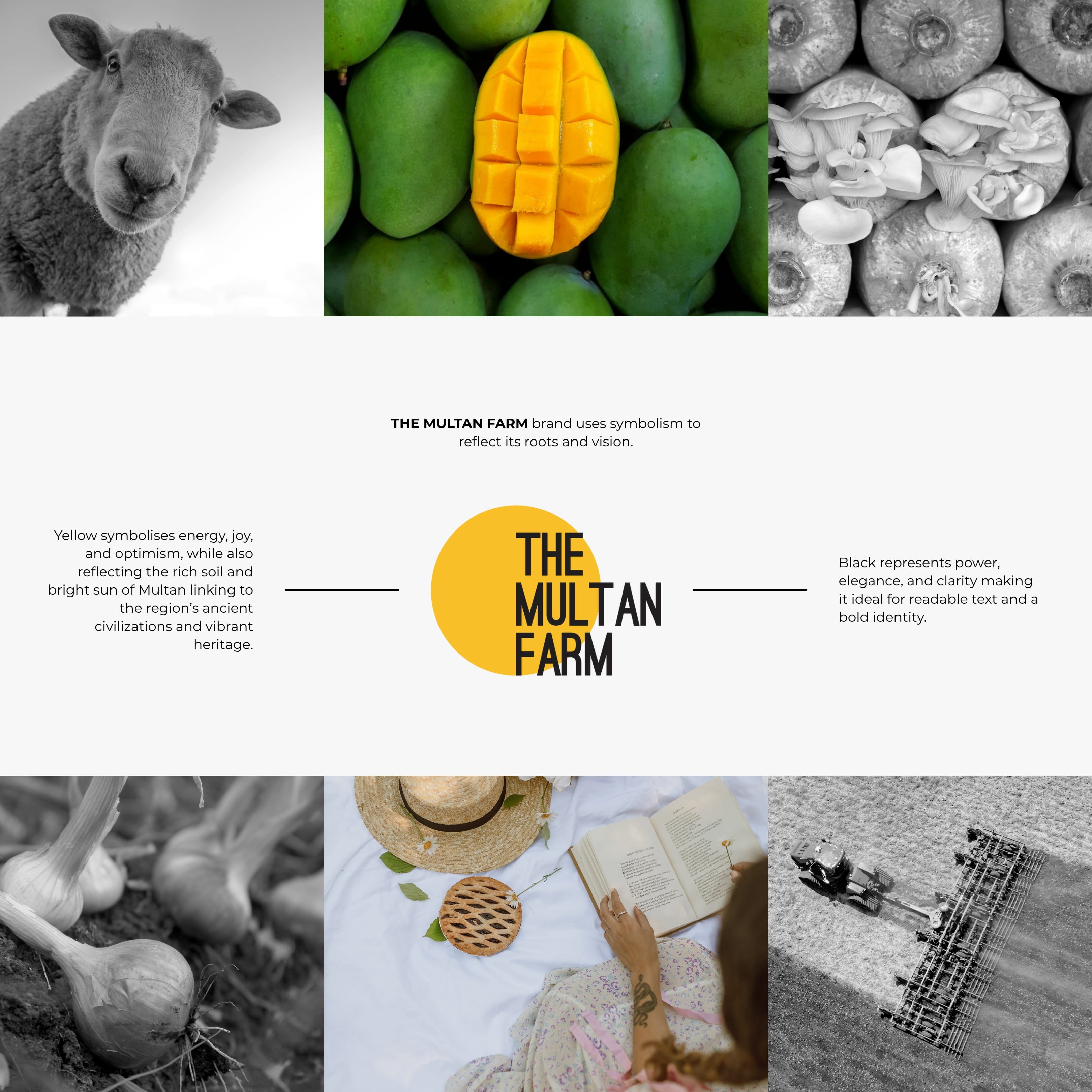 creative agency, agricultural branding, logo design, visual identity, modern branding, brand storytelling, farm brand identity, creative branding agency.