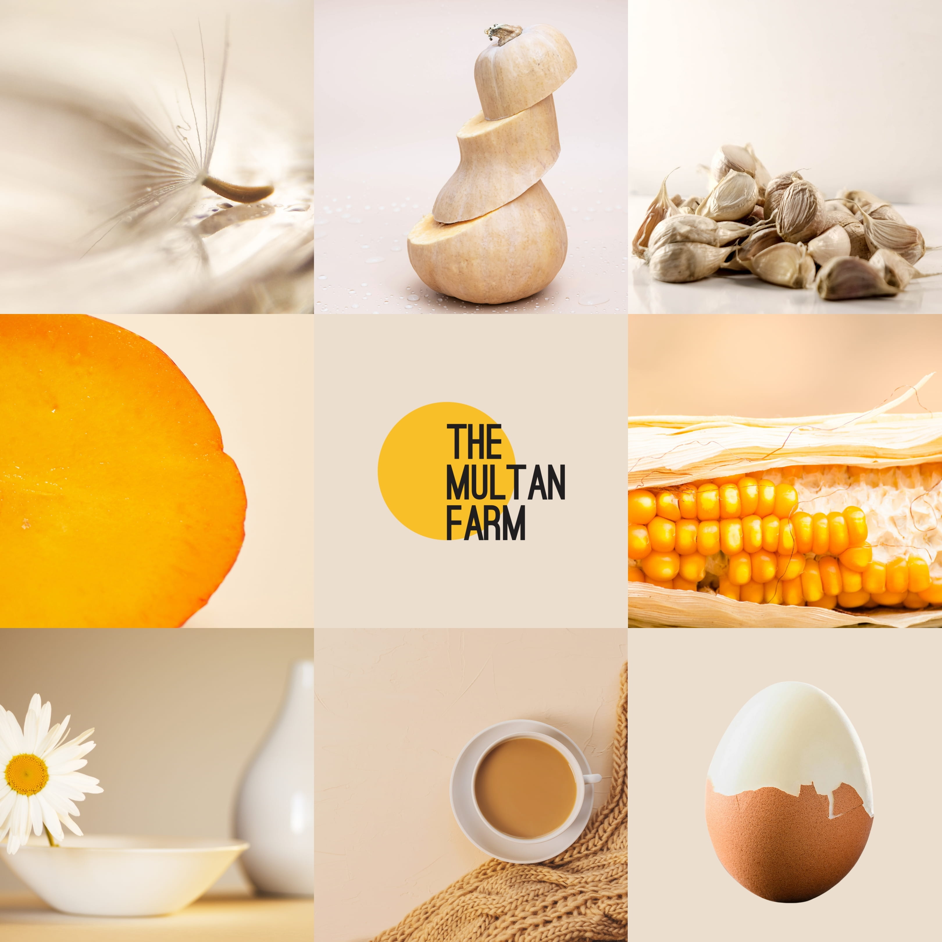 creative agency, agricultural branding, logo design, visual identity, modern branding, brand storytelling, farm brand identity, creative branding agency.
