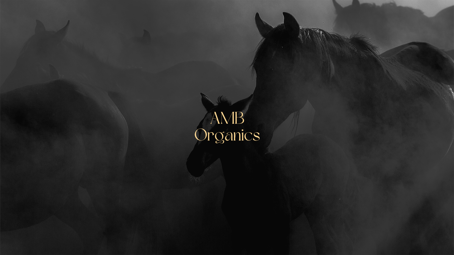 AMB Organics — project image