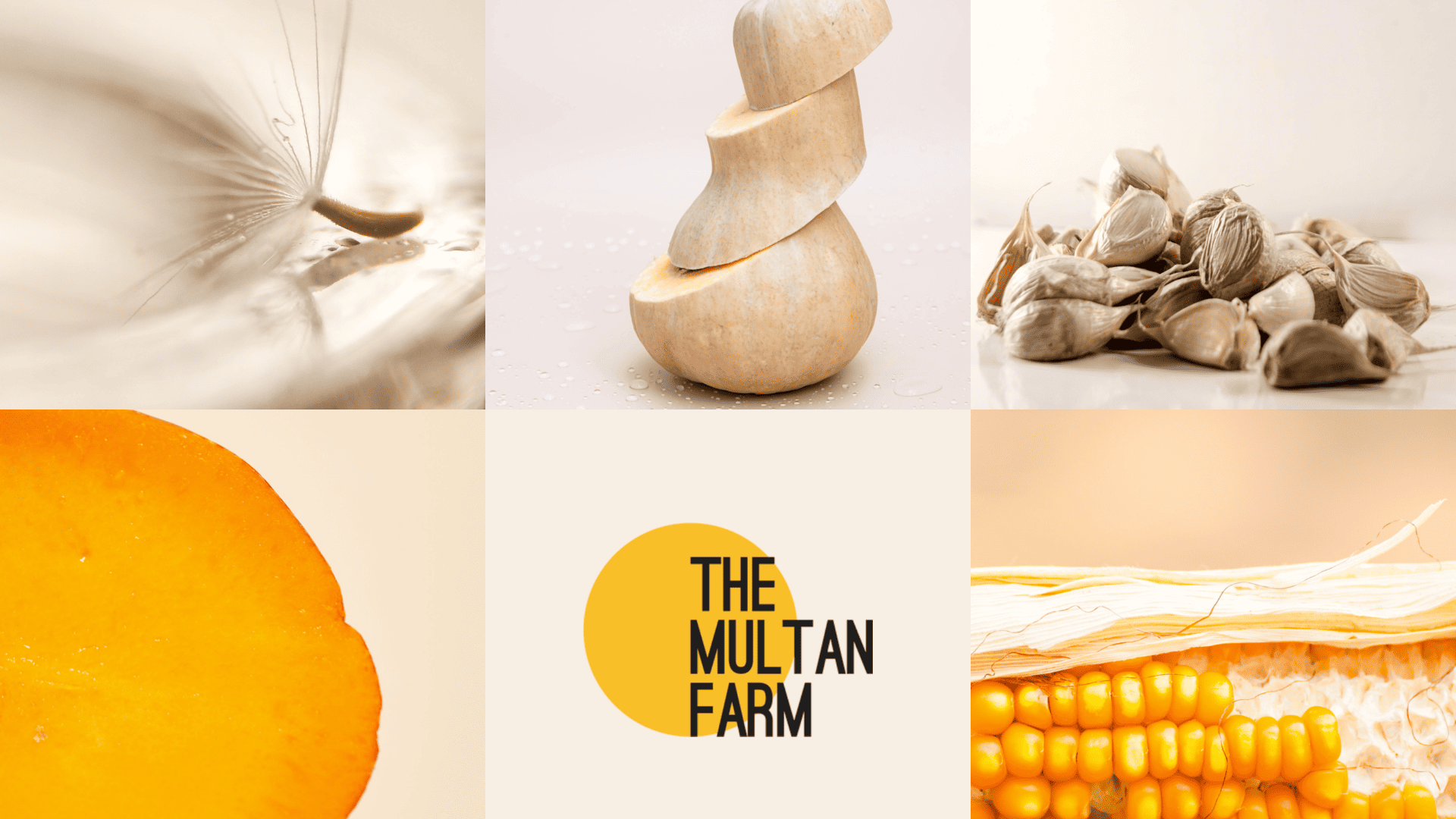 Multan Farm